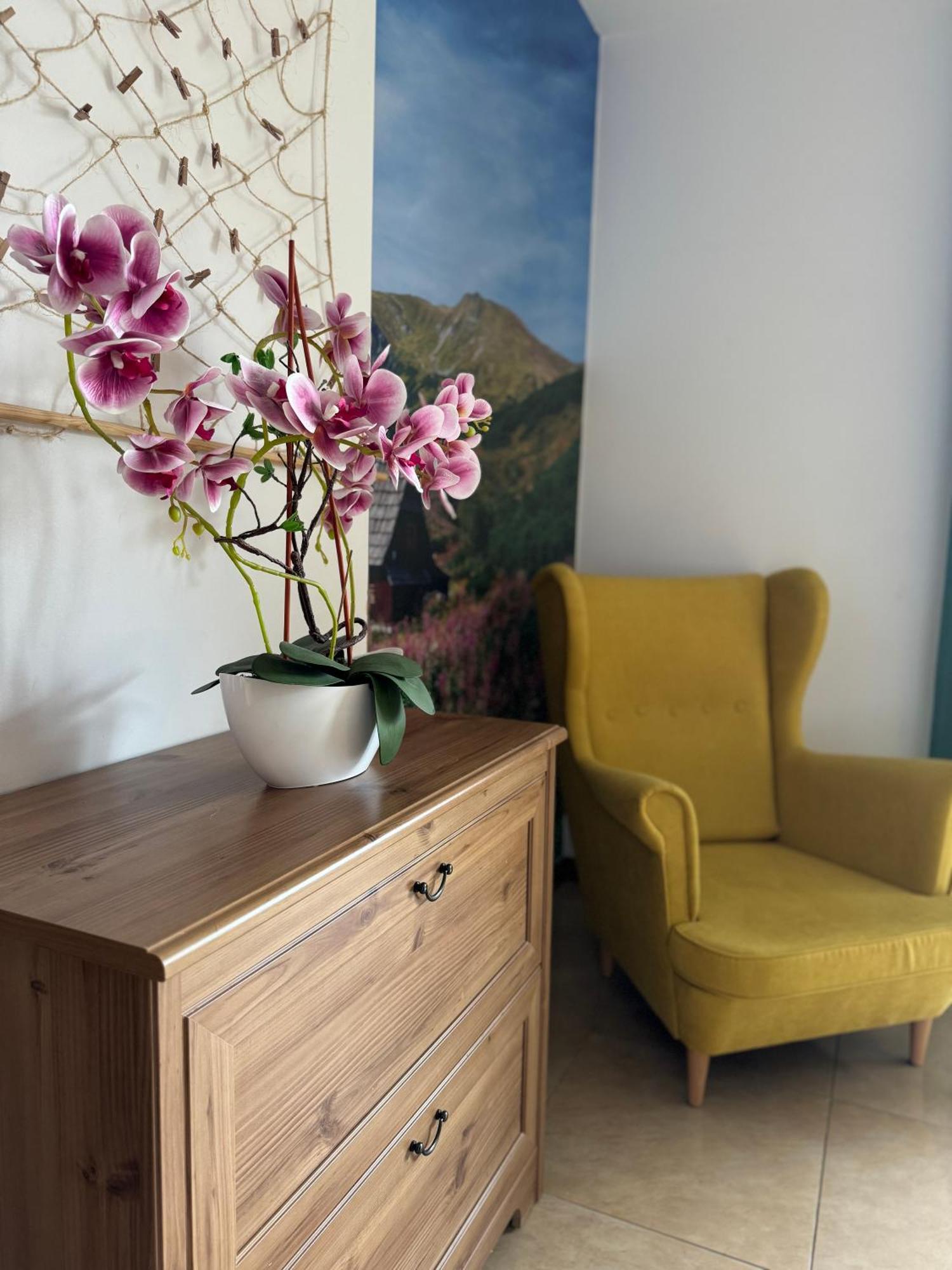 Zakopane - Apartament Chomikowka المظهر الخارجي الصورة